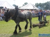 20150801BoerendagRijsbergen103