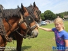 20150801BoerendagRijsbergen201