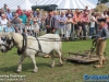 20150801BoerendagRijsbergen406