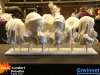 20160610maquettescorsozundert18