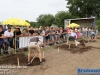 20250713kpjettenspaaiteengat045