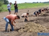 20250713kpjettenspaaiteengat242