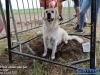 20250713kpjettenspaaiteengat267