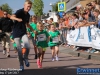 20170617bavolooprijsbergen144