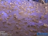 20160917sfkpjoudemolen452
