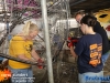 20250821bouwcorsowagens04