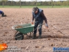 20160422knollenplantencorsozundert029