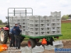 20160422knollenplantencorsozundert089