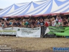 20150823trekkertrekkpjossendrecht306