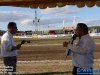 20250824tractorpullingkpjhalsteren501