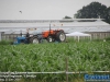 20160625tractorpullinghoeven021