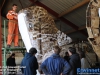 20200126opendagcarnavalrsb074