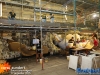 20250827bouwcorsowagens11