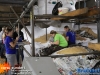 20250828bouwcorsowagens82