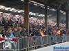 20161228indoorttettenleur217