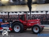 20221229indoorttettenleur310