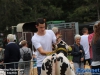 20190803boerendagrijsbergen110