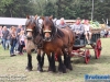 20190803boerendagrijsbergen192
