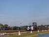 20250503pullinggastel327