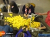 20150903corsozunderttikweekend68