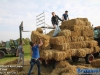 20170430hooilaaiekpjetten240