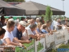 20260530dewalmoldtimerweekend249