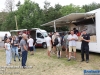 20260531dewalmoldtimerweekend203