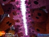 20230904corsomaandag034