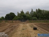 20250705trekkertrekkpjrijsbergen023