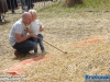 20160806boerendagrijsbergen152