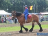 20160806boerendagrijsbergen170