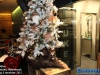 20171208kerstfairdebochtwernhout074
