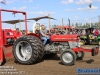 20250809tractorpullingoudenbosch0142