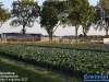 20250809tractorpullingoudenbosch0437